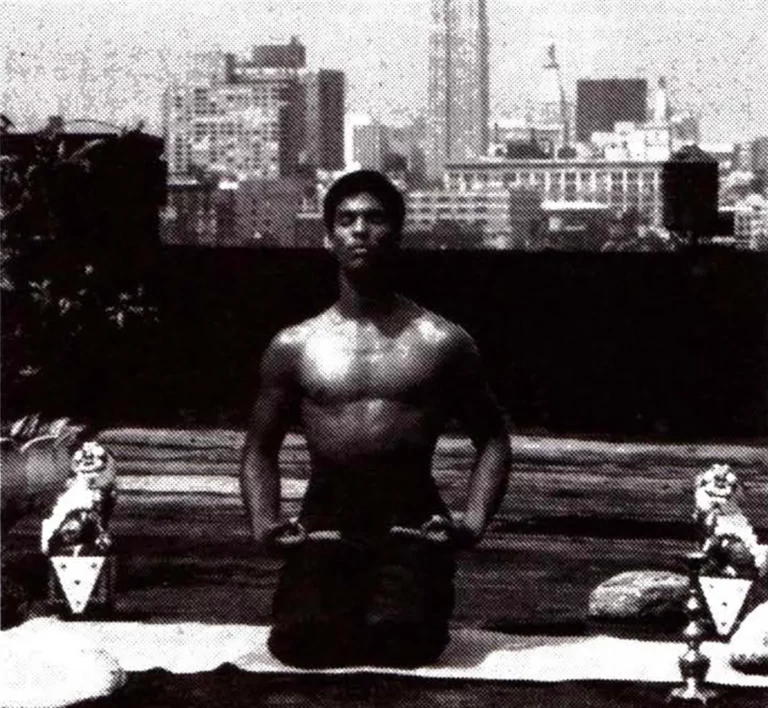 LE DERNIER DRAGON est un film de Berry Gordy. Il est sorti en salles à Paris le 24 juillet 1985. Ce texte avait été proposé aux Cahiers de cinéma, Il n’a jamais été publié.