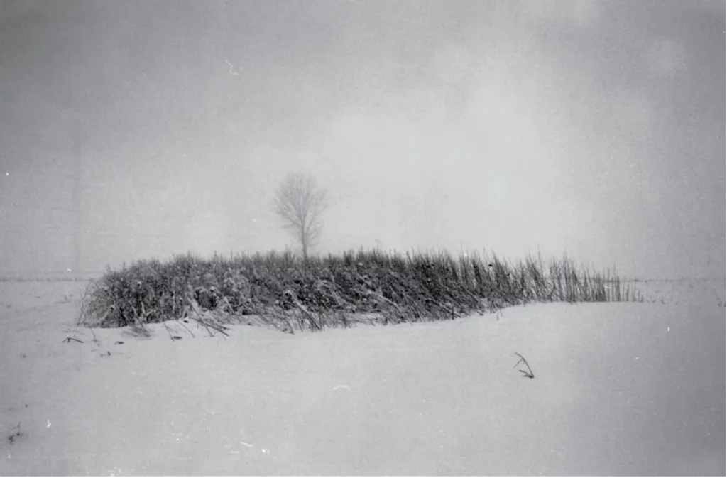 Photo du paysage à partir duquel Josef Nadj a créé LAST LANDSCAPE. - Photo Josef Nadj.