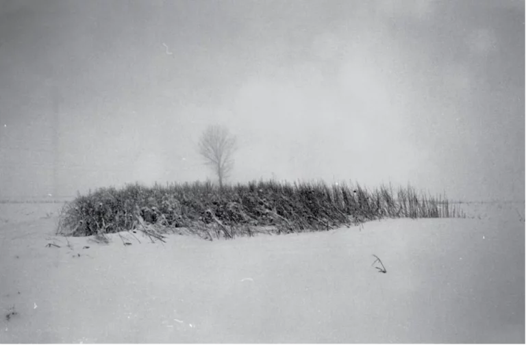 Photo du paysage à partir duquel Josef Nadj a créé LAST LANDSCAPE. - Photo Josef Nadj.