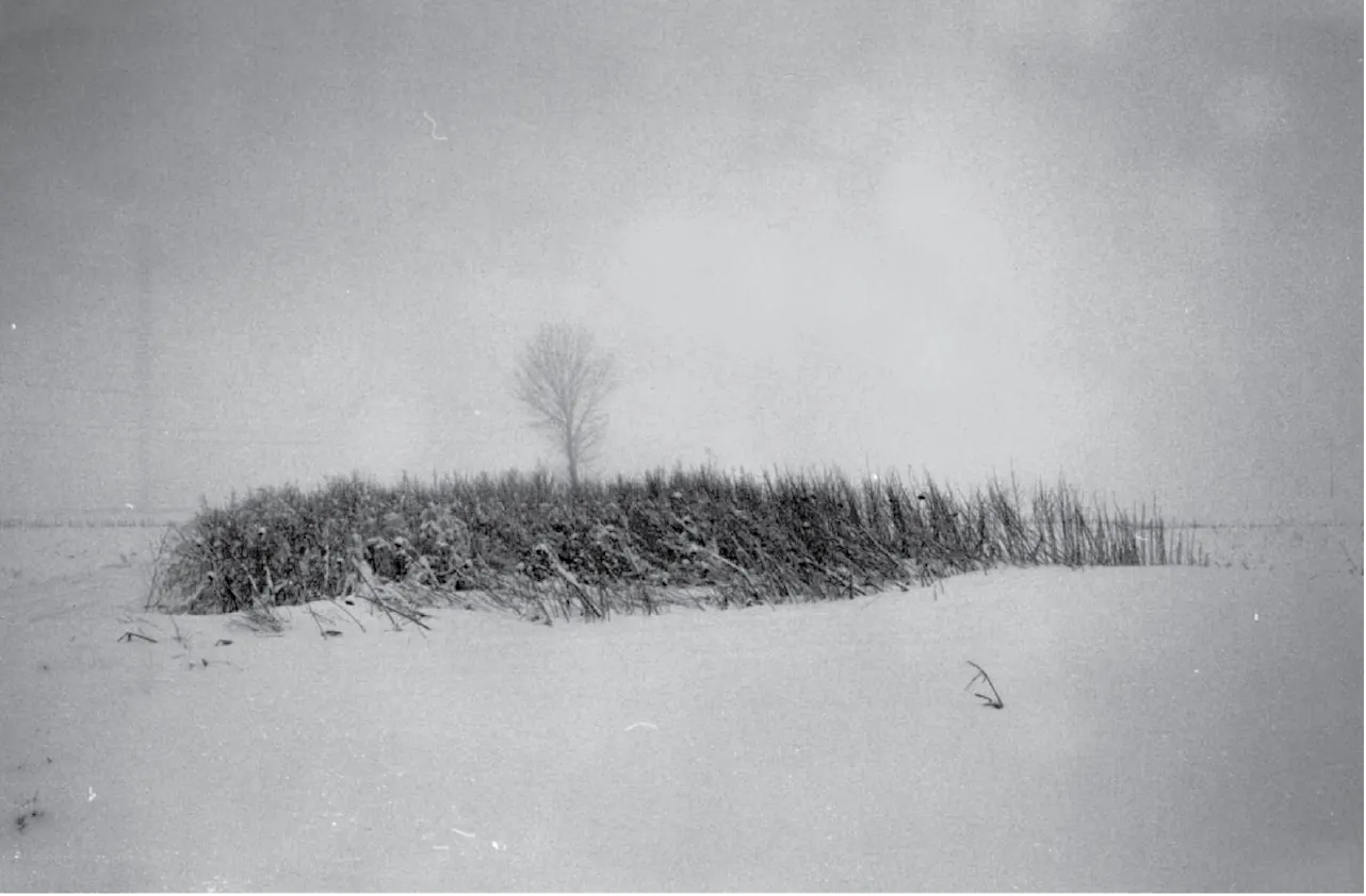Photo du paysage à partir duquel Josef Nadj a créé LAST LANDSCAPE. - Photo Josef Nadj.