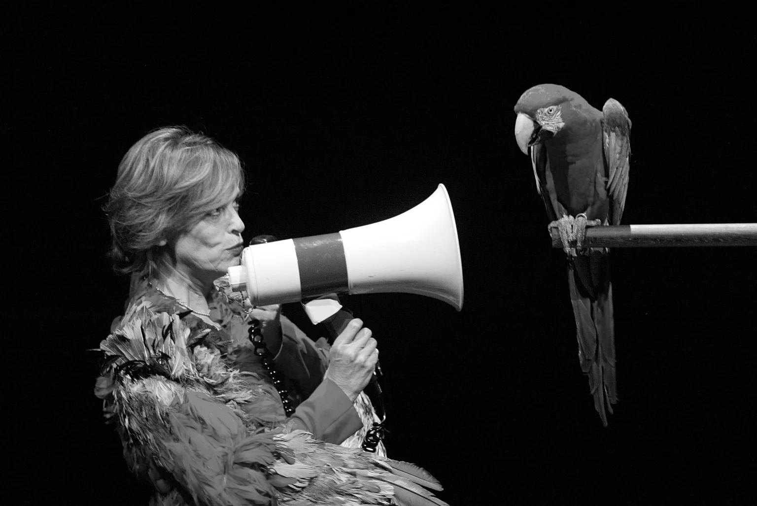 PARROTS & GUINEA PIGS de Jan Fabre, 2002. Photo Wonge Bergmann.