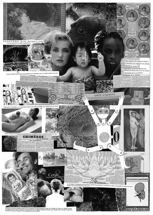 PHILOSOPHIE DE LA NAISSANCE, Collage de Pauline Louis, droits réservés, 2009.
