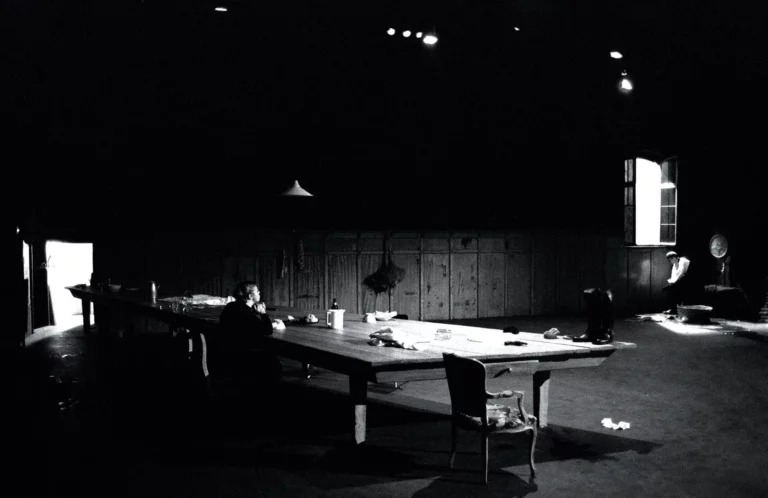 Dominique Grosjean et Marc Schreiber dans MADEMOISELLE JULIE d’August Strindberg. Photo Danièle Pierre.