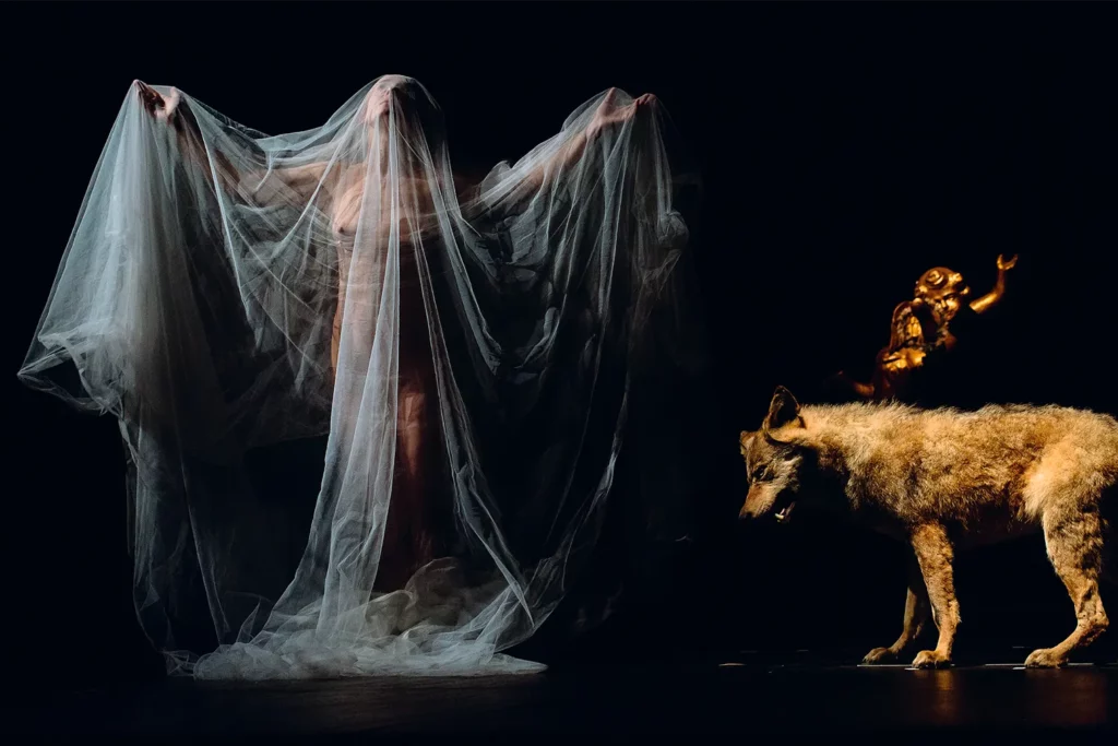 Angelica Liddell dans Tandy d’Angelica Liddell, Atra Billis Teatro, d’après Winesburg, Ohio de Sherwood Anderson, Kaaitheater, 2016. Photo Samuel Rubio.