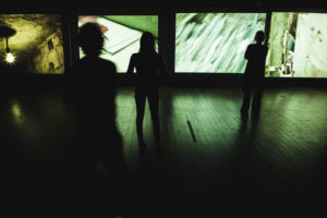 A Floresta che anda, Christiane Jatahy. Photo Aline Macedo.