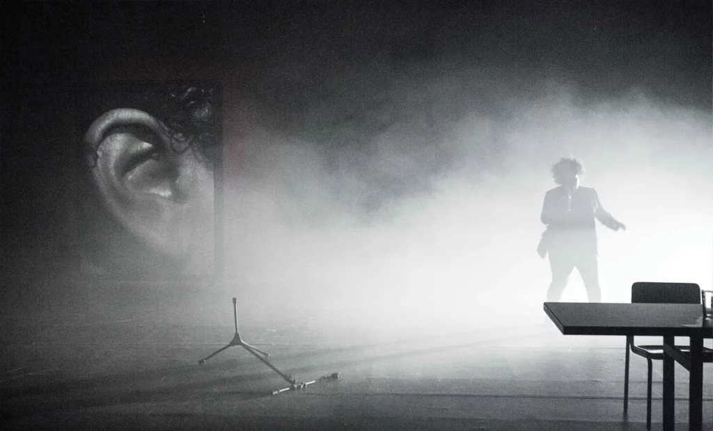 Page précédente : Grace Passô dans Preto, Companhia Brasileira de Teatro, São Paulo : SESC Campo Lindo, 2017. Photo : Nana Moraes.