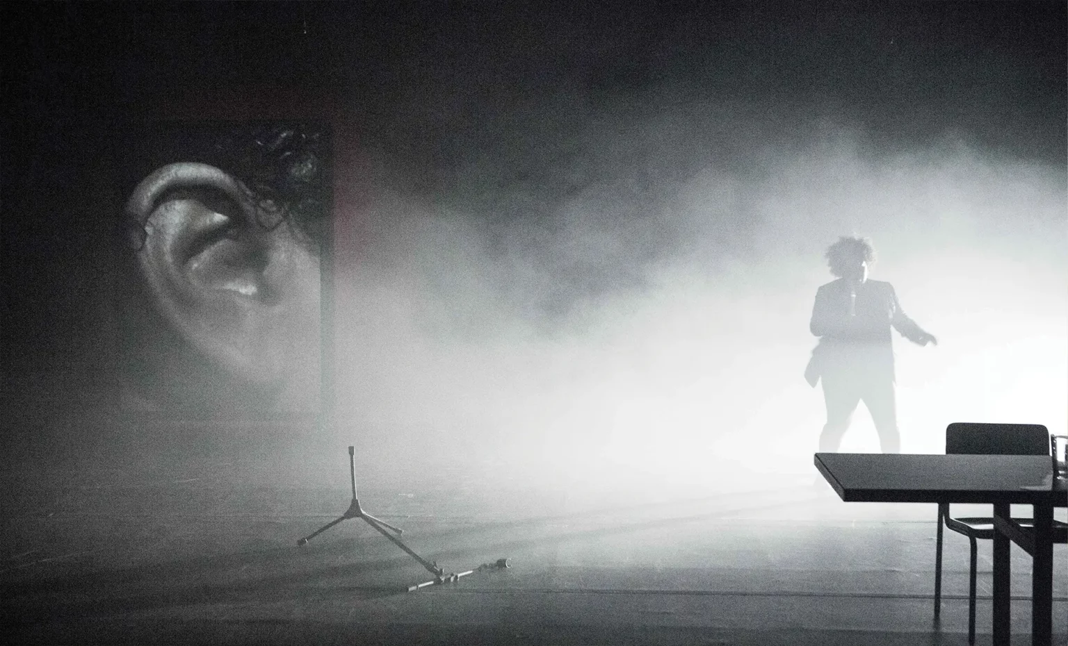 Page précédente : Grace Passô dans Preto, Companhia Brasileira de Teatro, São Paulo : SESC Campo Lindo, 2017. Photo : Nana Moraes.