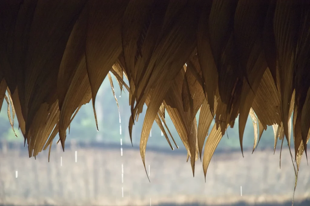 Vue de la région de Watoriki, Roraíma (Brésil), Amazonas, coprod. Institut Goethe, Biennale de Munich, ZKM (Zentrum für Kunst und Medien) de Karlsruhe, 2009. Photo Moritz Büchner.