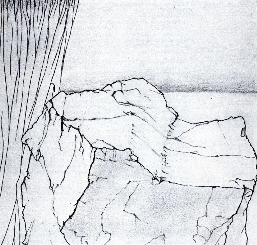 Dessins Christine Demblon