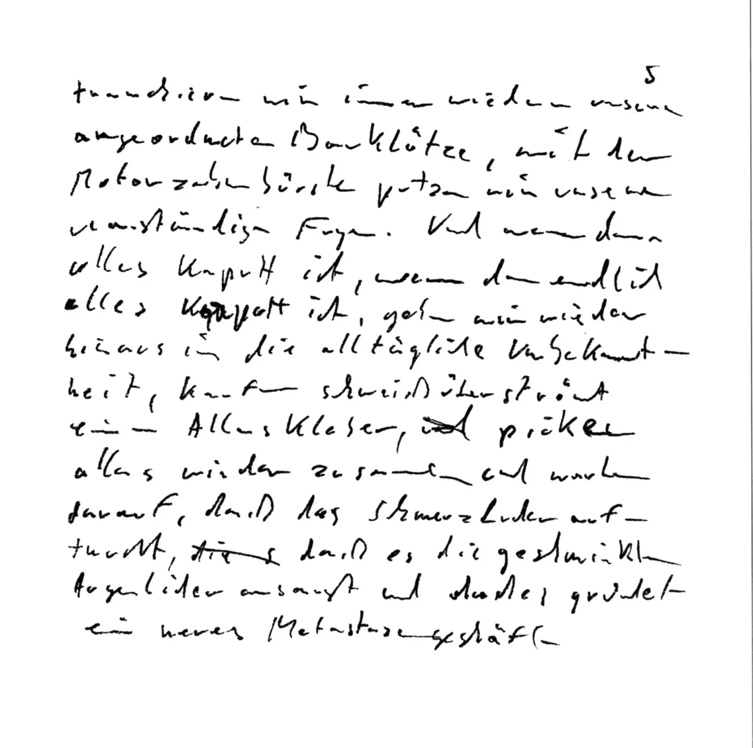 Manuscrits de Werner Schwab.