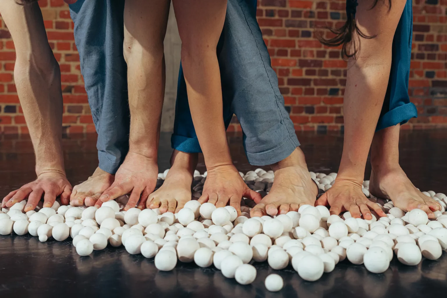 iRRooTTaa, par la compagnie Grensgeval © Michiel Devijver