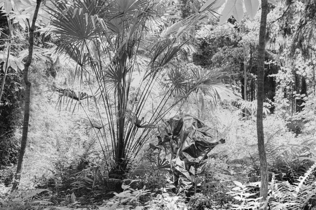 Troisième miNiature, Cie Demestri+Lefeuvre, Conception, chorégraphie et interprétation : Florencia Demestri & Samuel Lefeuvre, 2023, Charleroi-Danse, Crédit Laetitia Bica